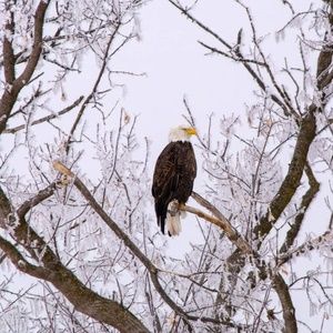 Meet your Posher, Jodi